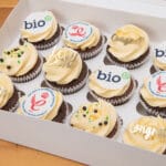 celebration cupcakes