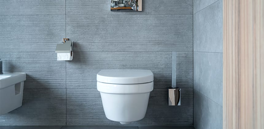 Bathroom Hygiene: Thorough Toilet Seat Cleaning and Sanitising