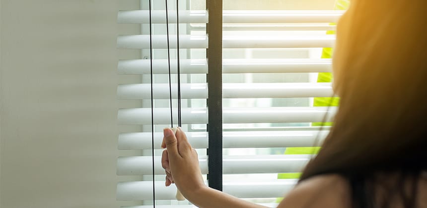 Dust-Free Living: Comprehensive Guide to Cleaning Every Type of Blind