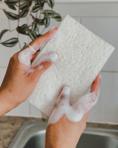 How to Wash Your Cleaning Cloths and Sponges the Eco-Friendly Way 2 Pop Up Sponge2