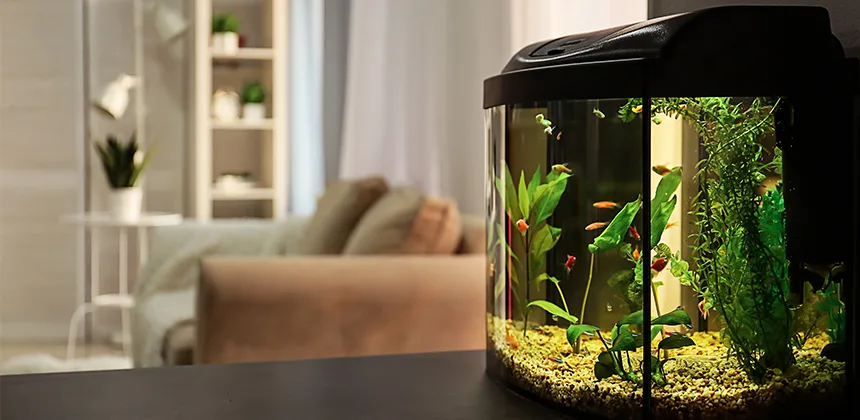 best way to clean fish tank accessories Luigi's Cleaner - Turtle Tank - Gravel Vacuum for Aquarium - Hand Siphon Hose Remove and Change Water or Sand in Minutes Pristine Aquarium Dcor: Safe Cleaning