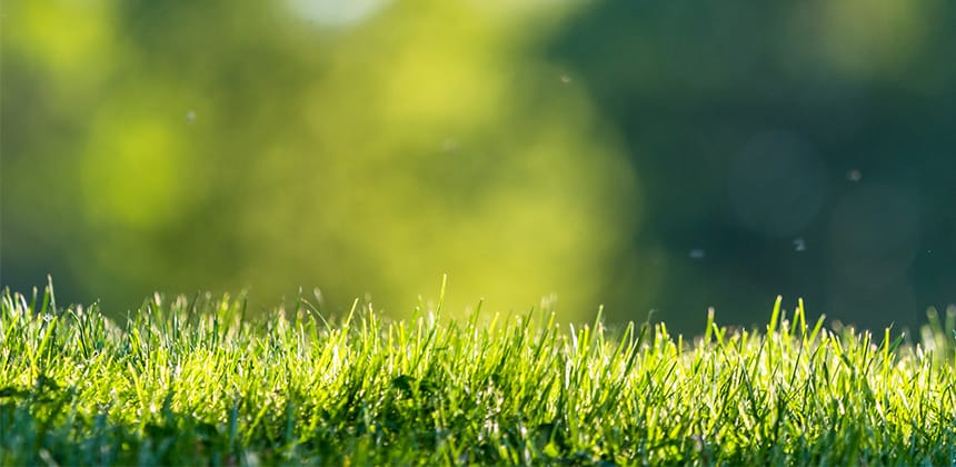 Green Stain Clean: How to Remove Stubborn Grass Stains from Clothing